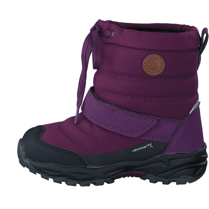 Pingu Purple Pingu Purple