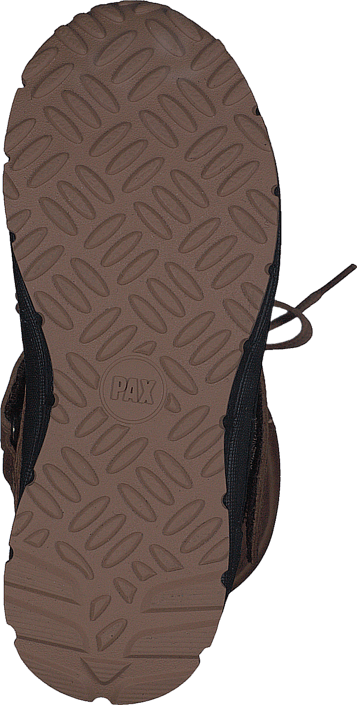 Pax - Dingo Brown