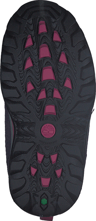 Timberland - Chillberg 2-Strap GTX Purple