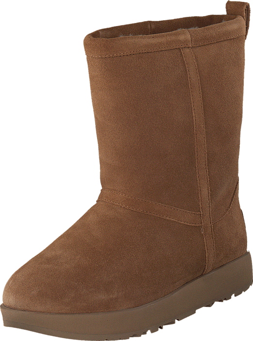 UGG - Classic Mini Waterproof Chestnut