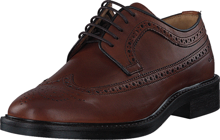 Gant - Albert G45 Cognac
