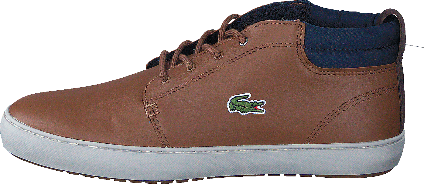 Ampthill Terra 317 1 DK BRW, Male, Shoes, Trainers, high-top sneakers, Blue/Brown, UK 9,5