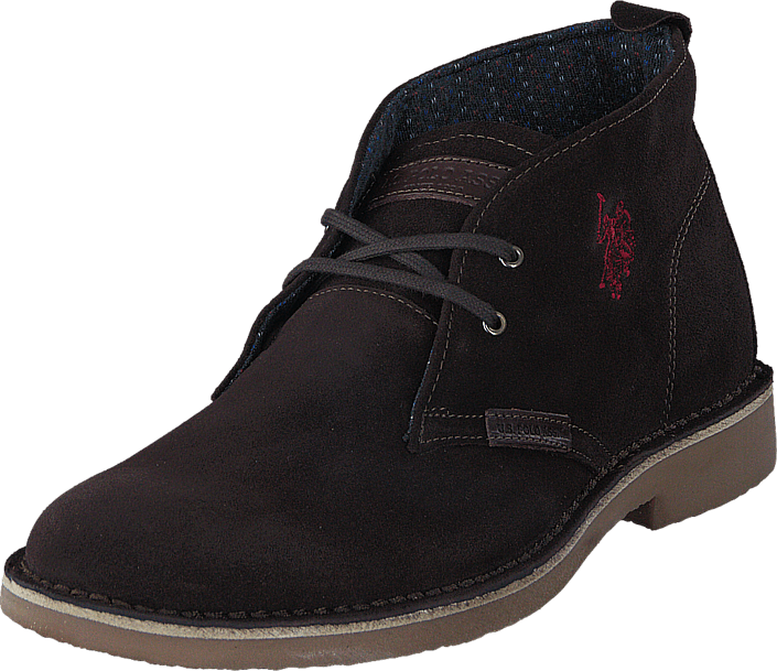 U.S. Polo Assn - Amadeus 13 Suede Dark Brown