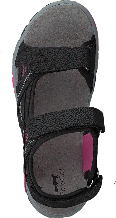 Polecat - 413-4621 Black/Fuchsia