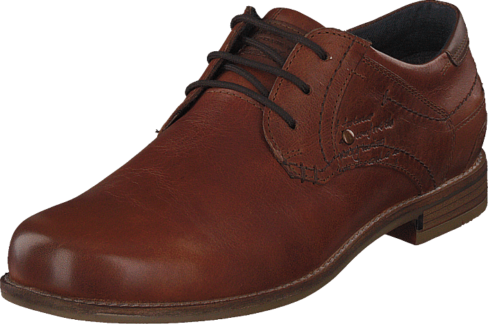 Senator - 451-1909 Premium Cognac