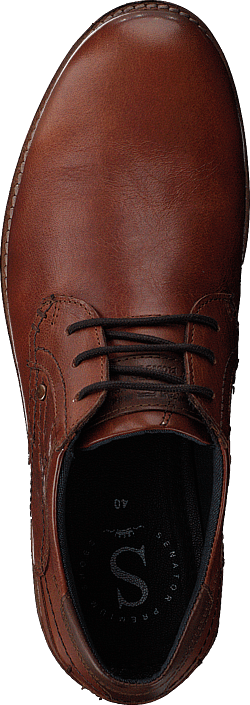 Senator - 451-1909 Premium Cognac