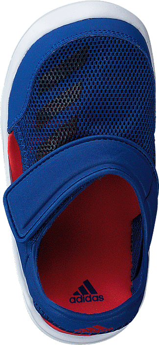 adidas Sport Performance - Fortaswim I Collegiate Royal/Navy/White