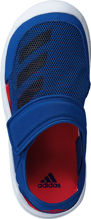adidas Sport Performance - Fortaswim C Collegiate Royal/Navy/White