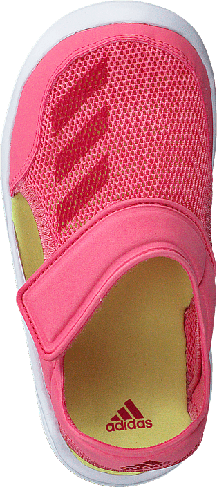 adidas Sport Performance - Fortaswim I ChalkPink S18/Vivid Berry/Wht
