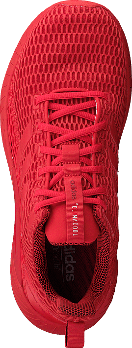 adidas Sport Performance - Questar Cc Core Red S17/Scarlet