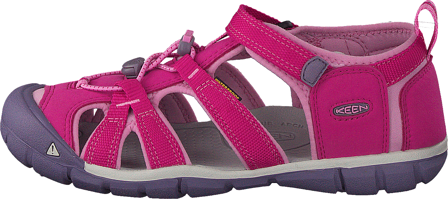 Seacamp II Cnx Jr Very Berry/lilac Chiffon, Unisex, Shoes, Sandals and Slippers, sandals, Purple/Pink, EU 36