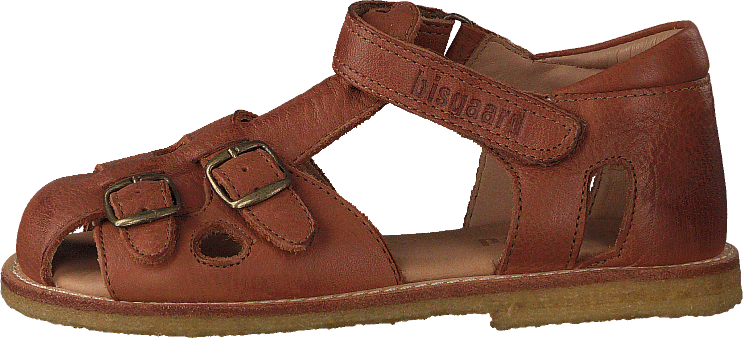 70519.118.504 Cognac