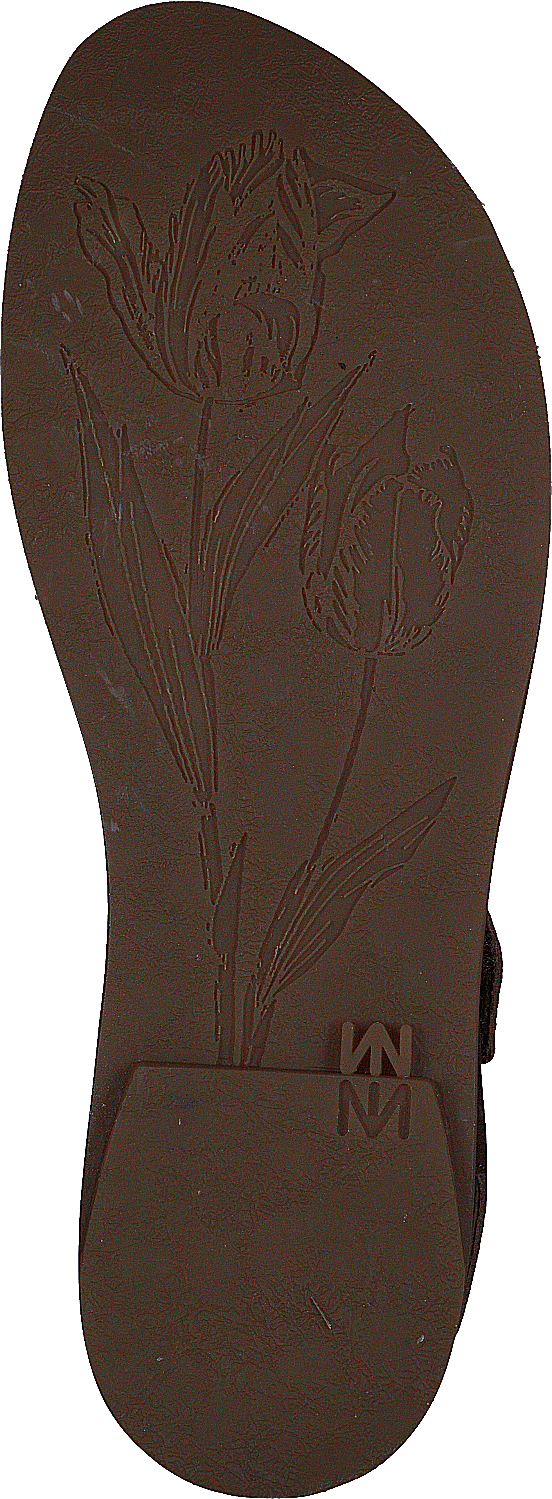 Tulip Cuero - Bild 7