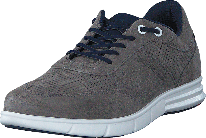Lloyd - Adlai Grey/black