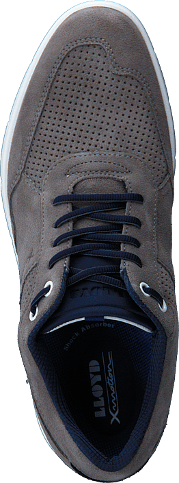Lloyd - Adlai Grey/black