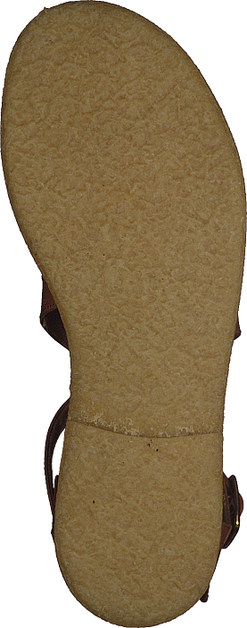 Kjøp Sko Tan Sandal Buckle Brune With Angulus Online Sandals rUwzqIYr