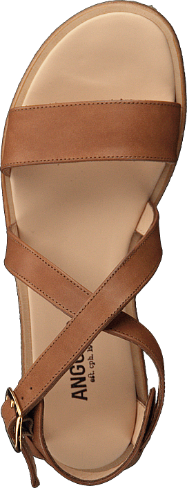 Kjøp Sko Tan Sandal Buckle Brune With Angulus Online Sandals rUwzqIYr