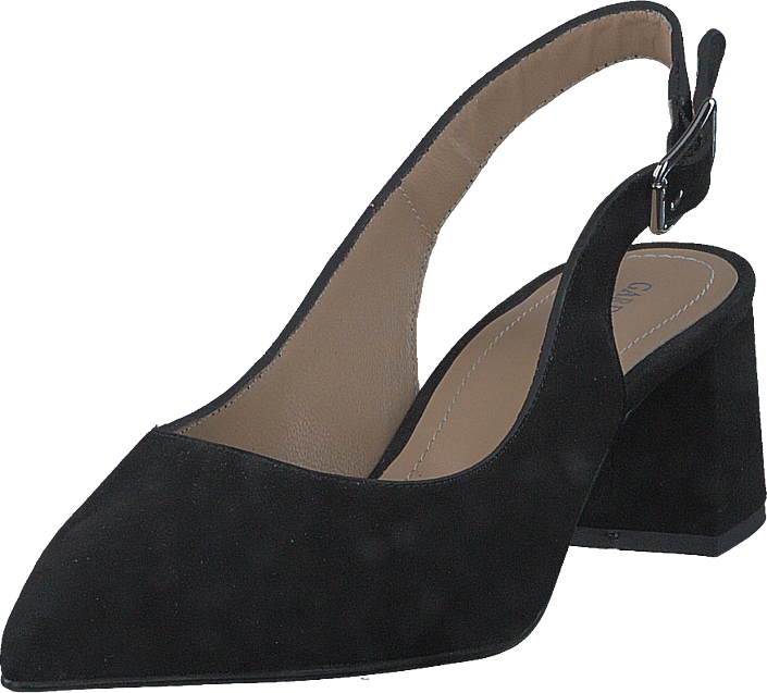 Gardenia - Cupiter Suede Black