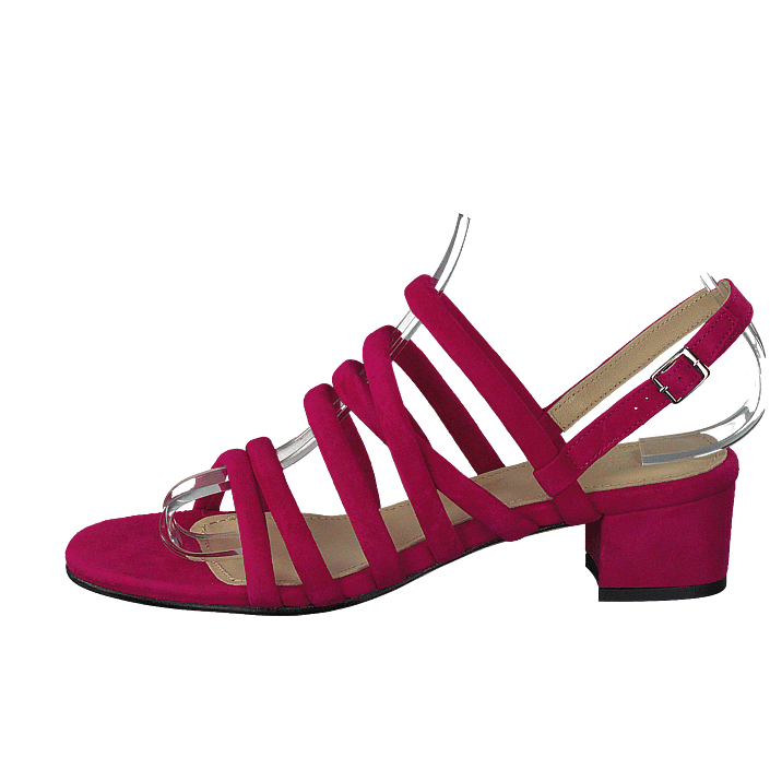 Gardenia Shoes Online Gardenia Shoes Online