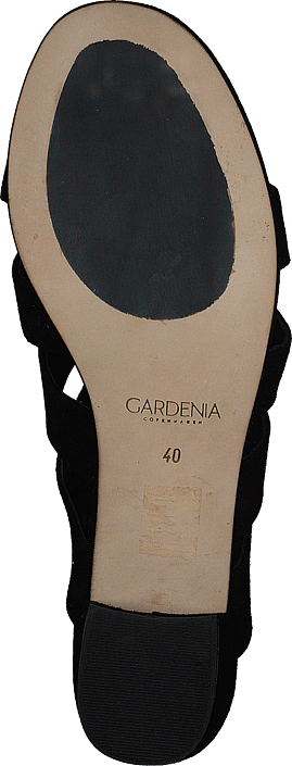 Gardenia - Gladys B Suede Black