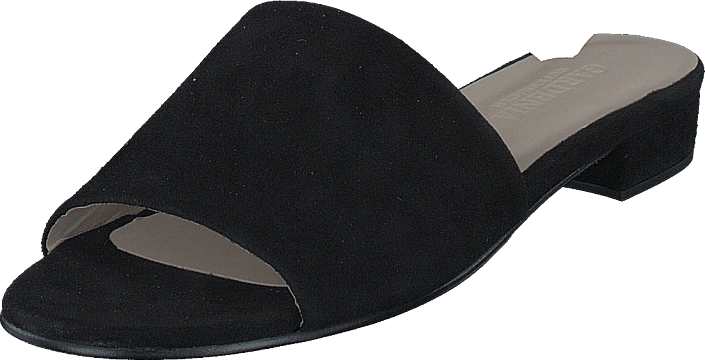 Gardenia - Guba Suede Black