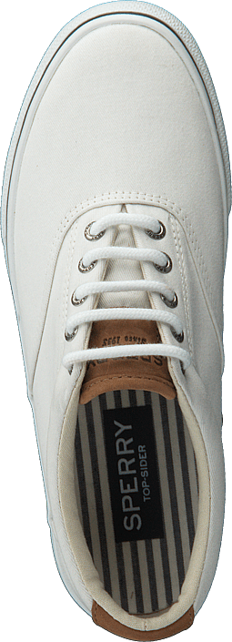 Sperry Topsider - Striper LL CVO Washed White
