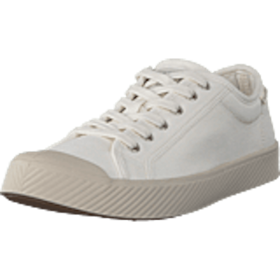 Pallaphoenix Og Cvs Marshmallow - Bild 9