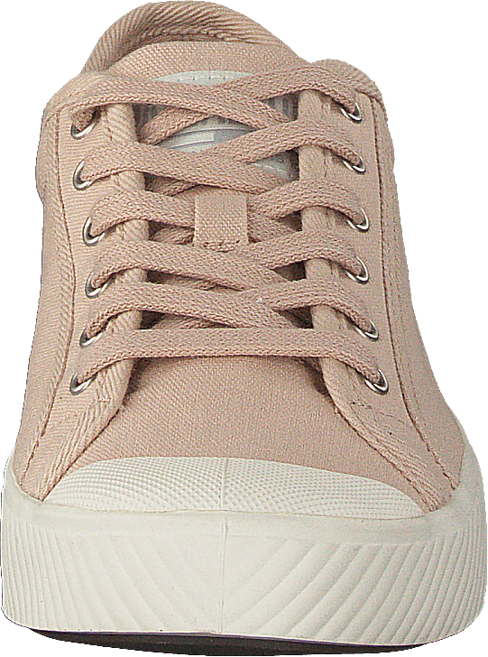 Pallaphoenix Og Cvs Rose Dust - Bild 4