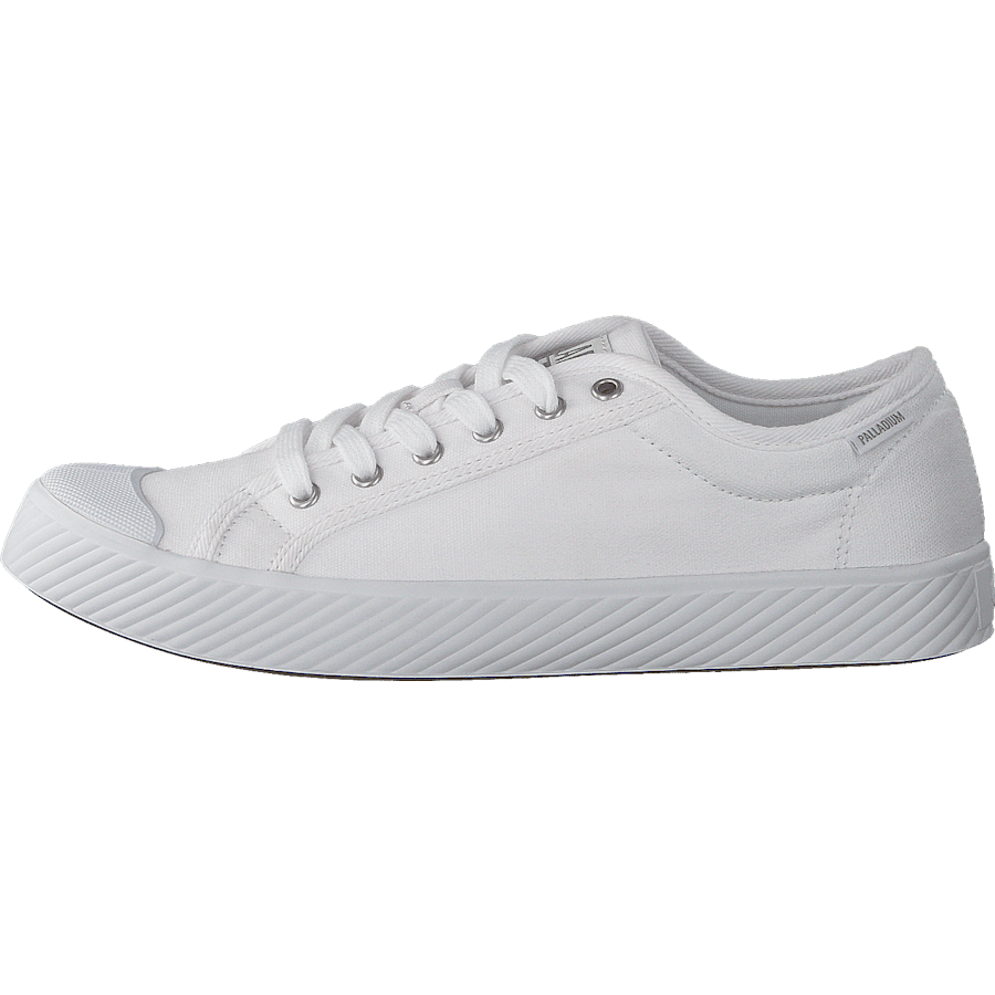 Pallaphoenix Og Cvs White