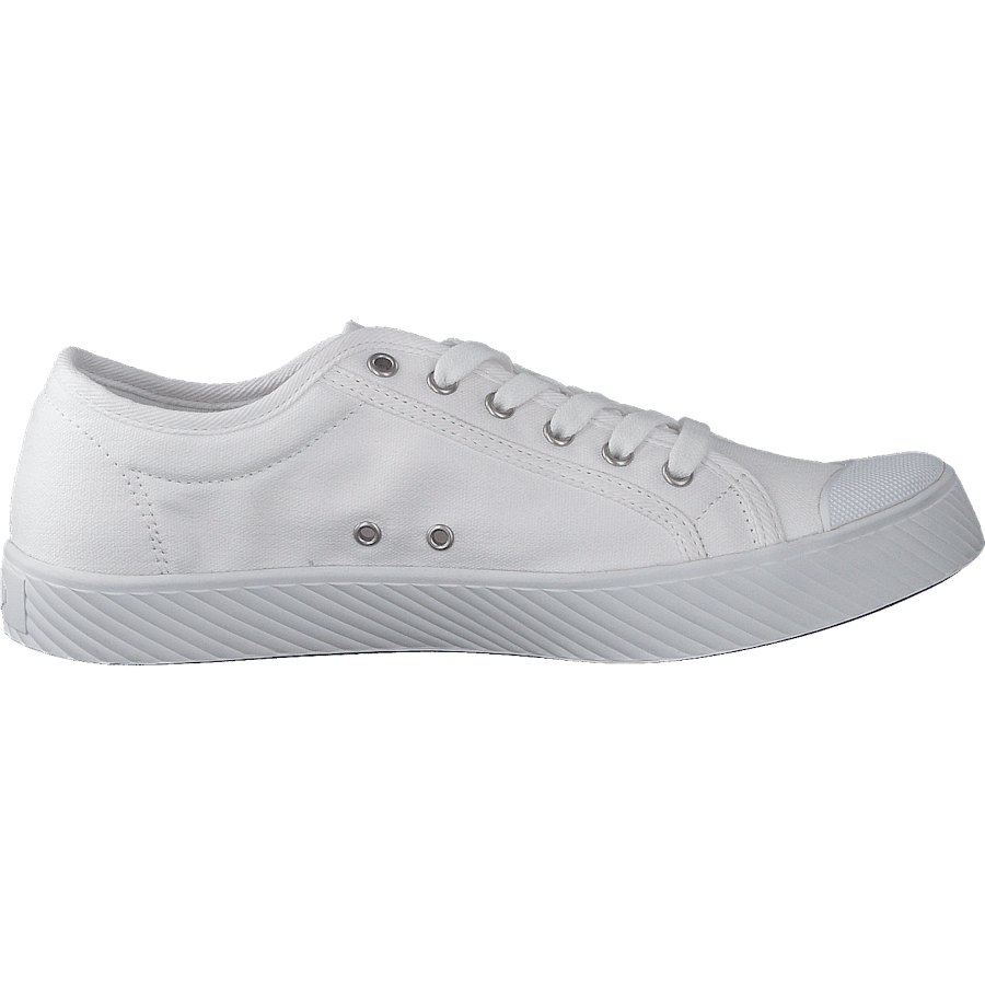 Pallaphoenix Og Cvs White - Bild 2