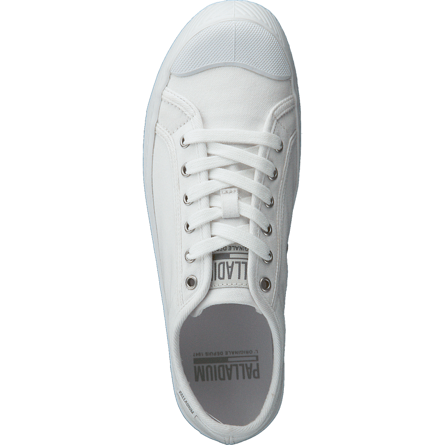 Pallaphoenix Og Cvs White - Bild 6