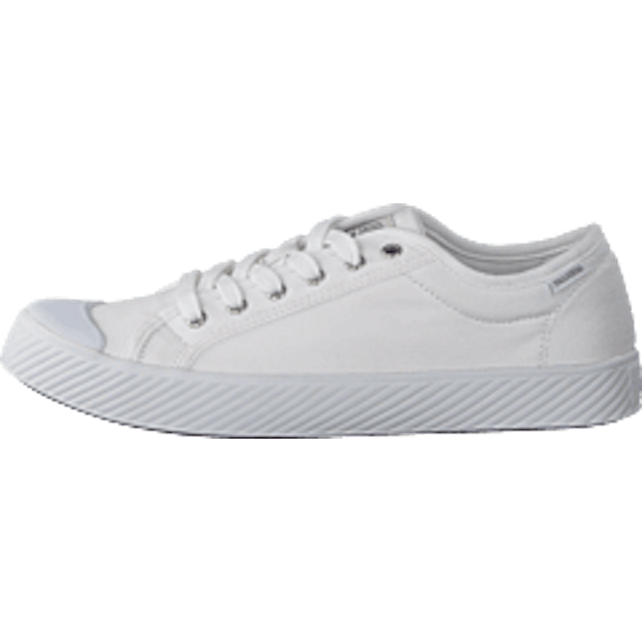 Pallaphoenix Og Cvs White - Bild 10