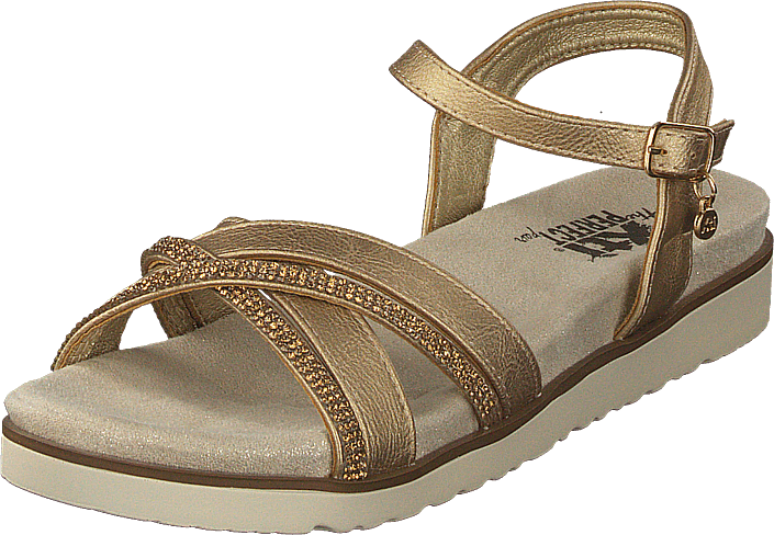 Xti - 47664 Gold