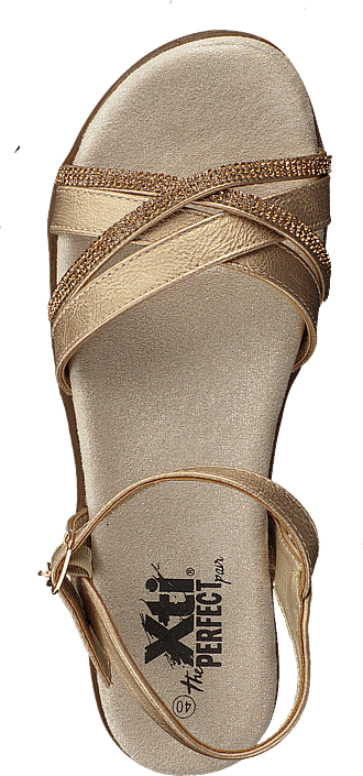 Xti - 47664 Gold