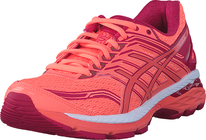 asics gt 2000 marron