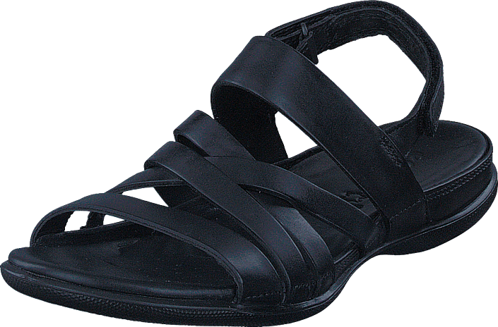 ecco flash black