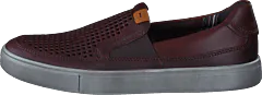 Ecco - Kyle Cognac