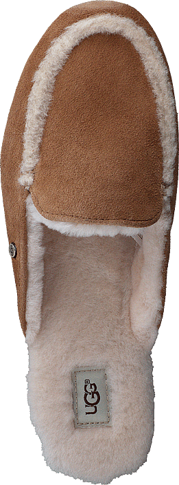 Kjøp UGG Lane Chestnut sko Online | FOOTWAY.no Kjøp UGG Lane Chestnut sko Online | FOOTWAY.no