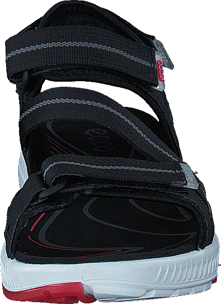 Terra Sandal Black