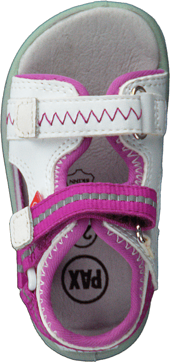 Pax - Surfa White/purple