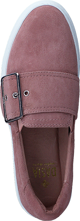 Dasia - Daylily Pink Buckle Pink