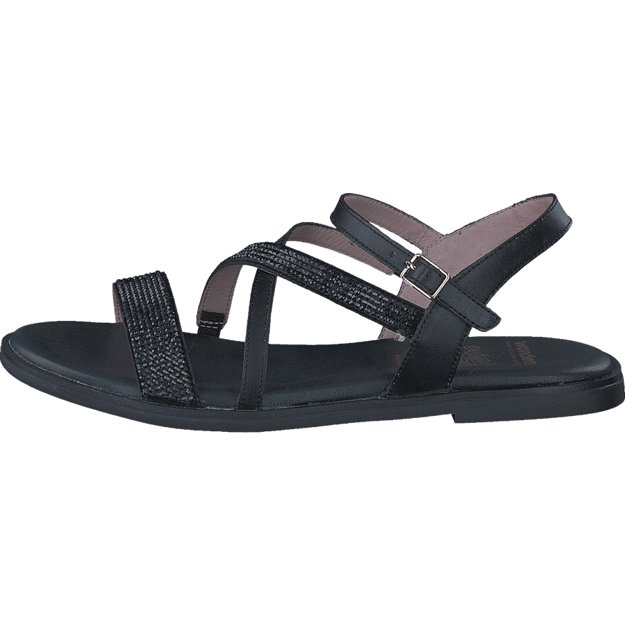 Crosta Negro Pergamena Negro