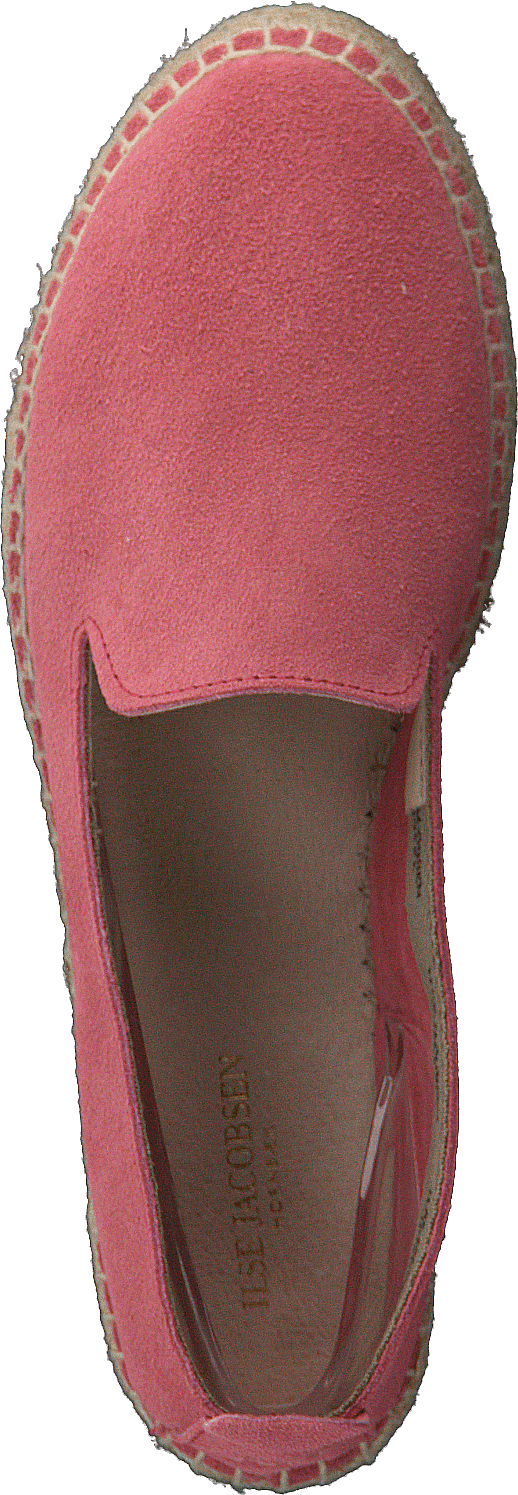 Dhalia2010-a Coral Blush - Bild 6