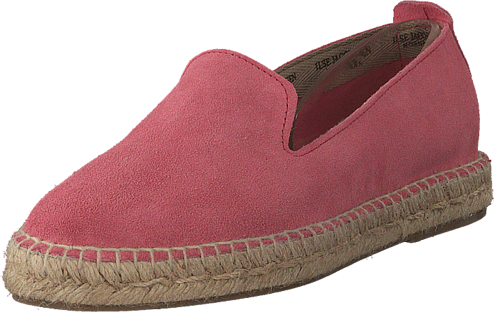 Ilse Jacobsen - Dhalia2010-a Coral Blush