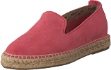 Dhalia2010-a Coral Blush - Bild 9