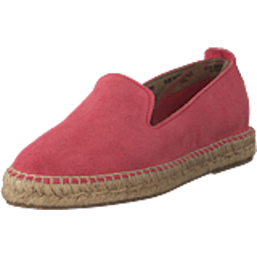 Dhalia2010-a Coral Blush - Bild 9