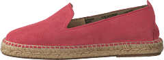Dhalia2010-a Coral Blush - Bild 10