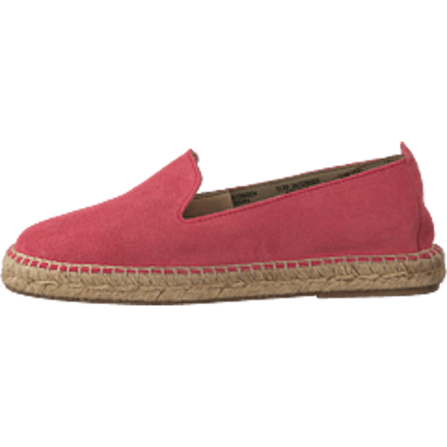 Dhalia2010-a Coral Blush - Bild 10