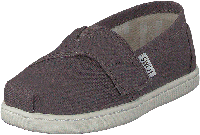 Toms - Alpargata Tiny Ash Canvas