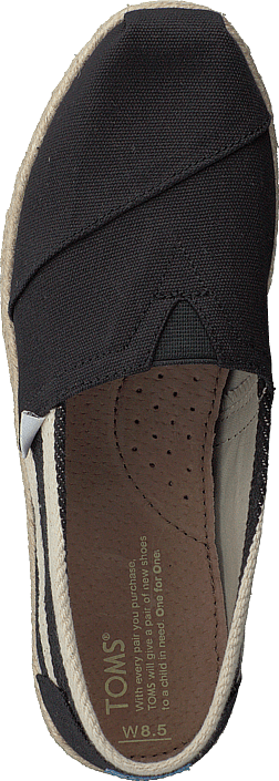Toms - Alpargata Black University Classic